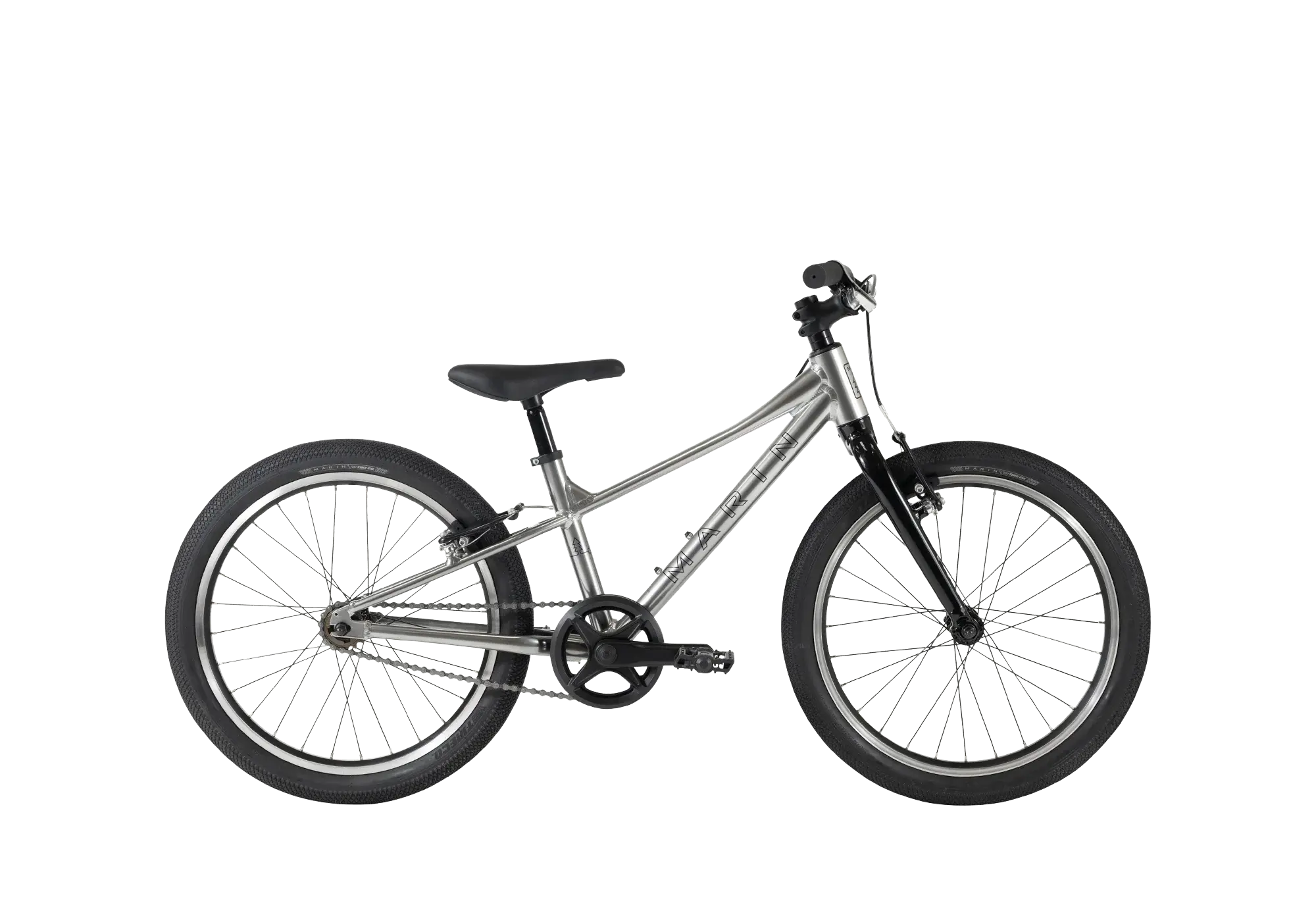 Coast Trail 20" 1