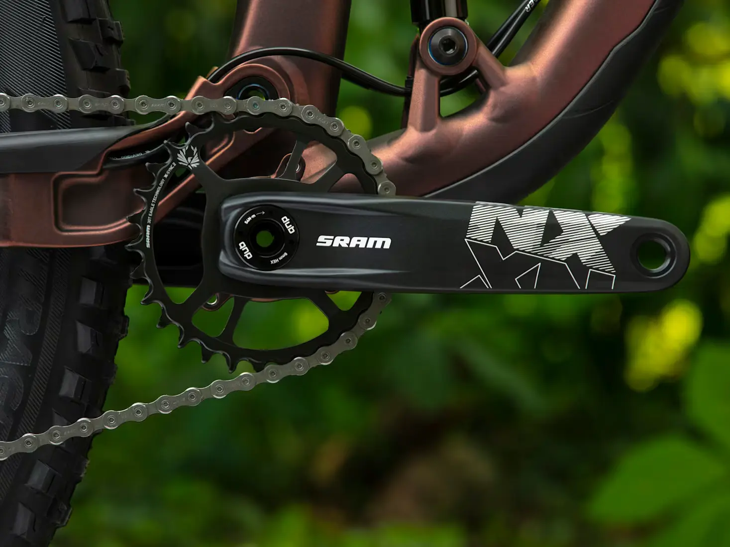 Mountain - Trail thumbnail 3