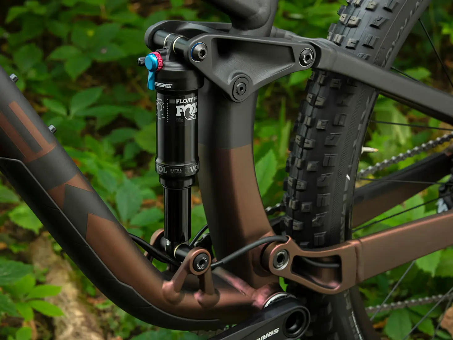 Mountain - Trail thumbnail 5
